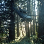 21 Strangest Car Accidents and Crashes